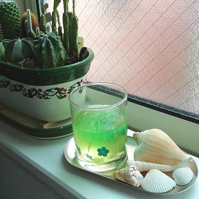My Shelf,ハンドメイド,窓際,保冷剤リメイク,保冷剤活用法,階段ホール,保冷剤で手作り消臭剤,手作り消臭剤,手作り虫除け,サボテン,夏のディスプレイ usako.usaの部屋