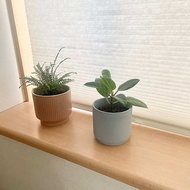 My Shelf,スタンダードプロダクツ,プチプラインテリア,北欧,北欧インテリア,北欧雑貨のある暮らし,IKEA haritakaの部屋