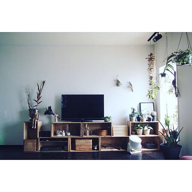 Lounge,ニンテンドースイッチ,ファミコンの日,TV,りんご箱,リノベーション,シンプル,植物のある暮らし romimushiの部屋