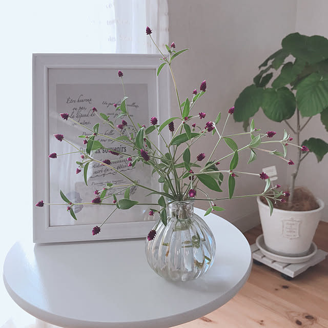 庭の花を飾る,ウンべさんも元気です,ダイソーフォトフレームにダイソー紙袋,セリアフラワーベース,千日小鈴,プチプラで可愛く,花のある暮らし,9月24日,Lounge miyuki.gtの部屋