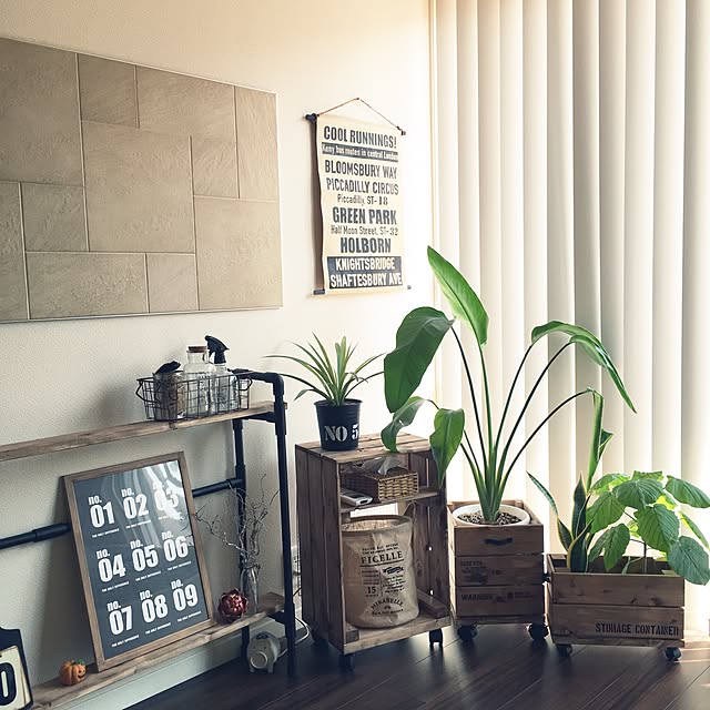 Bedroom,塩ビパイプDIY,バーチカルブラインド,CRASH GATE,エコカラットプラス ワンタッチパネル,AwesomeStore,フェイクグリーン,サンセベリア,ウンベラータ,ストレリチアオーガスタ,観葉植物,鉢カバーDIY ,いなざうるす屋さん,セリア mika_の部屋
