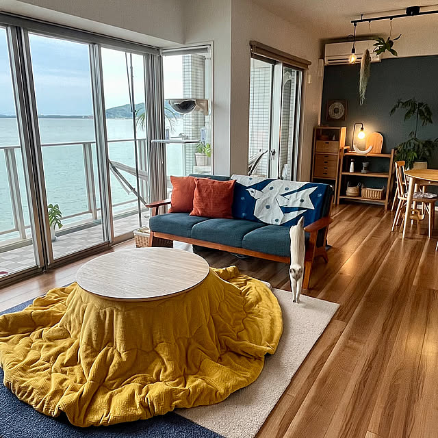 Overview,こたつ,北欧インテリア,室内窓,LIXIL,Instagramやってます,デコマド,インスタ→am_nana77,猫,猫と暮らす,こたつ布団,クリッパン,こたつのある部屋,クリッパンブランケット amの部屋