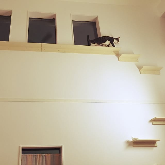 My Shelf,ペンキ,キャットウォーク,猫,ふきぬけ,DIY,二階,壁紙屋本舗 mikyamikyamikyaの部屋