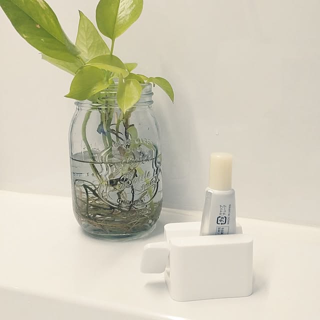 Kitchen,高コスパアイテム,チューブ絞り,チューブ絞り器,楽しく暮らす,暮らしを楽しむ,心地よい暮らし,ダイソー,ダイソー雑貨,Daiso,DAISO購入品,観葉植物,100均,100均雑貨 tan5の部屋