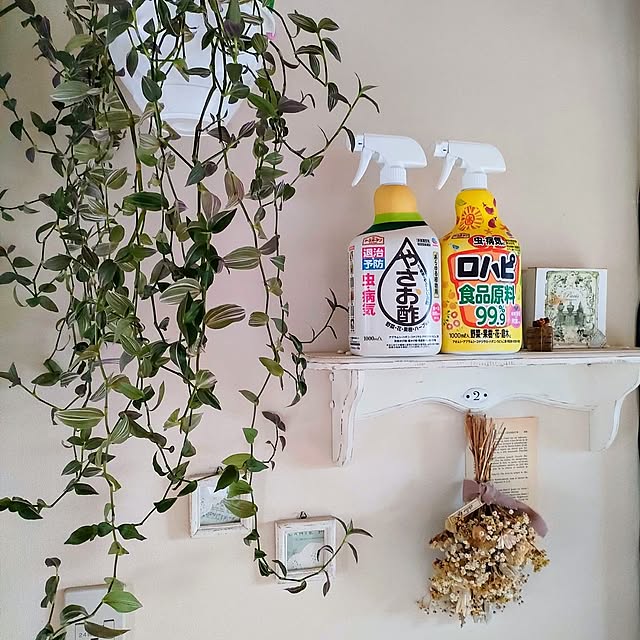 My Shelf,ガーデニング,害虫対策,アースガーデン,アース製薬,アース製薬モニター投稿,ロハピ,やさお酢,ナチュラル,インテリア,ナチュラルインテリア,トラディスカンチア ai.happyplaceの部屋