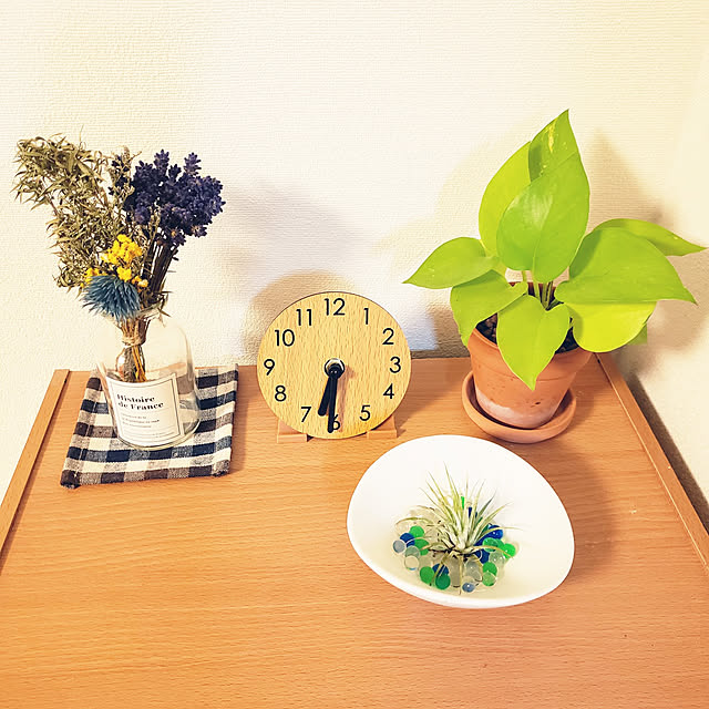 Lounge,時計,おきにいり♡,雑貨だいすき！,みていただきありがとうございます❢,無言いいね､すみません^^;,優しい雰囲気づくり(*^^*),プチプラで楽しむ,観葉植物,ダイソー,100均,癒される◡̈♥︎,ラベンダー hanabutaの部屋