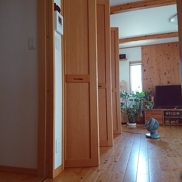 Lounge,扇風機・サーキュレーター,夏,サーキュレーター,リビングクローゼット,湿気取り,湿気対策,梁,モンステラ,クーラー&サーキュレーター skhrの部屋
