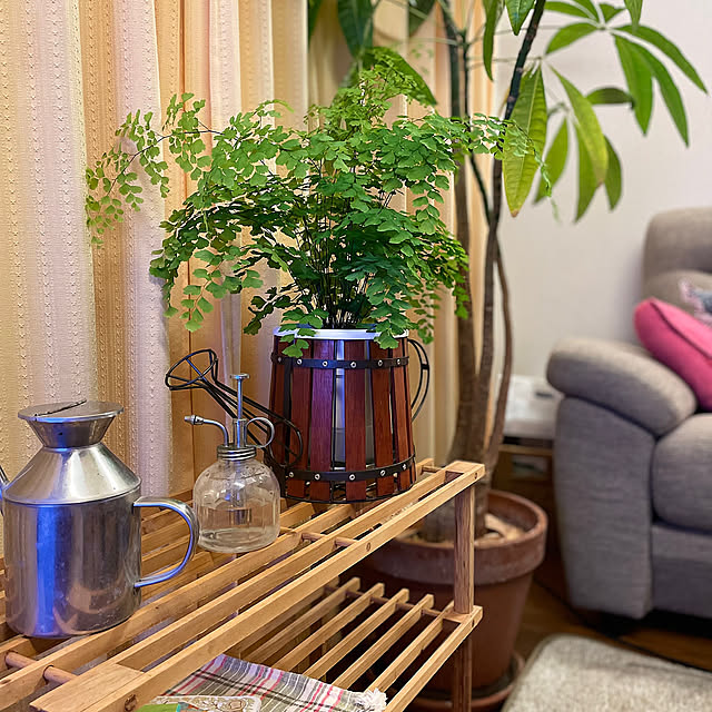 Overview,ナチュラル,観葉植物,木のある暮らし meruの部屋