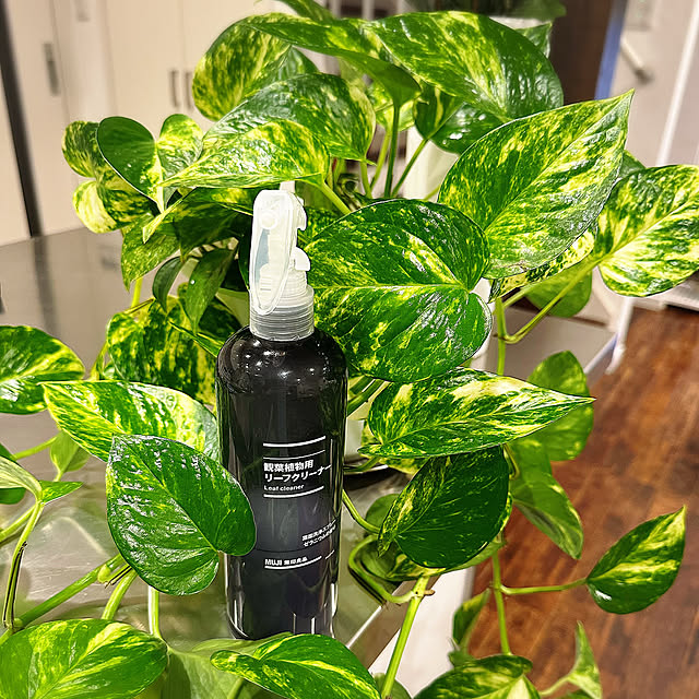 Overview,リーフクリーナー,無印良品,愛用品 hanahana1444の部屋