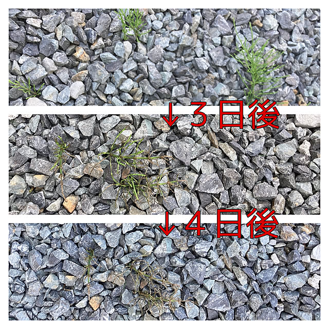アースガーデン,除草,植物のある暮らし,ガーデニング,アースカマイラズ草消滅,ジョウロヘッド michanの部屋
