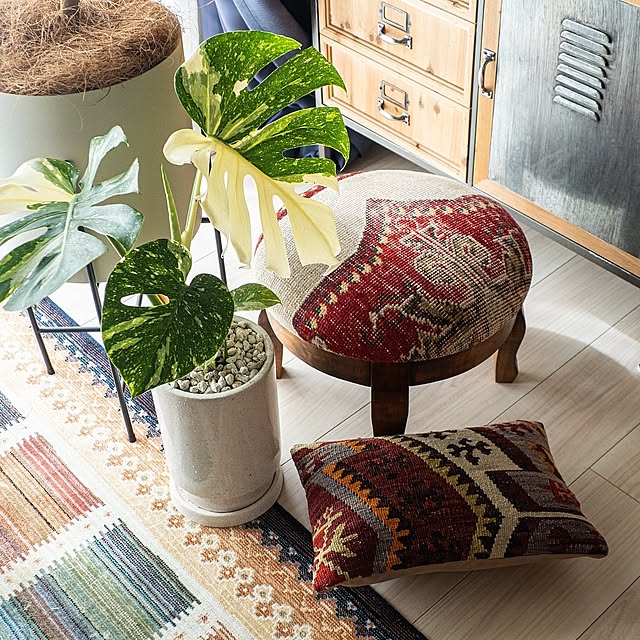Overview,ファブリックアイテム,キリム,キリムクッション,キリム柄,トルコ,トルコ雑貨,スツール,丸スツール,クッション,海外,海外雑貨,モンステラ,観葉植物,観葉植物のある暮らし tomoruriの部屋