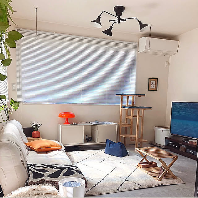 Lounge,洗えるラグ,ニトリ,新生活,ペット,ペットと暮らすインテリア,ファミリー mako2yaの部屋