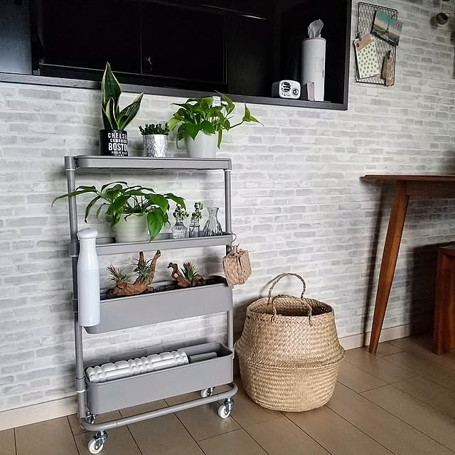 Lounge,シャビーシック,ダイソー,百均,木のある暮らし,グリーンのある暮らし,チーク家具,壁紙屋本舗,レンガ調壁紙,セリア,山崎実業 RIN,縦型ティッシュケース,隙間トローリー,スリムワゴン,キャスター付きワゴン,サンスベリア,ポトス,ヒメモンステラ,チランジア,イオナンタ フエゴ,エアプランツ,流木,グレージュ,ウンブラティコラ,ハオルチア,ちどりバスケット,幅16cm,くすみカラー,くらしのeショップ,シーグラスバスケット meiの部屋