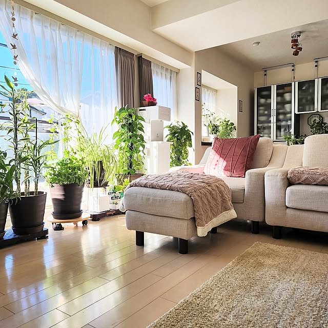 Lounge,ソファー,グリーン,インテリア,クッション,癒し,ブランケット,ふわふわ,冬支度,スミノエラグ,マンション暮らし,窓辺のグリーン,観葉植物のある暮らし,グラデーションラグ,平台車,ウォーターサーバーのある暮らし,山善くらしのeショップ,SHEINクッションカバー,SHEIN ブランケット,耐震対策,日の光,東京インテリアのカーテン,マグネットカーテンタッセル,秋,アイテムは似ているものです,フリースブランケット,くすみピンク,ラグ,レースカーテン,L字ソファ love1017の部屋