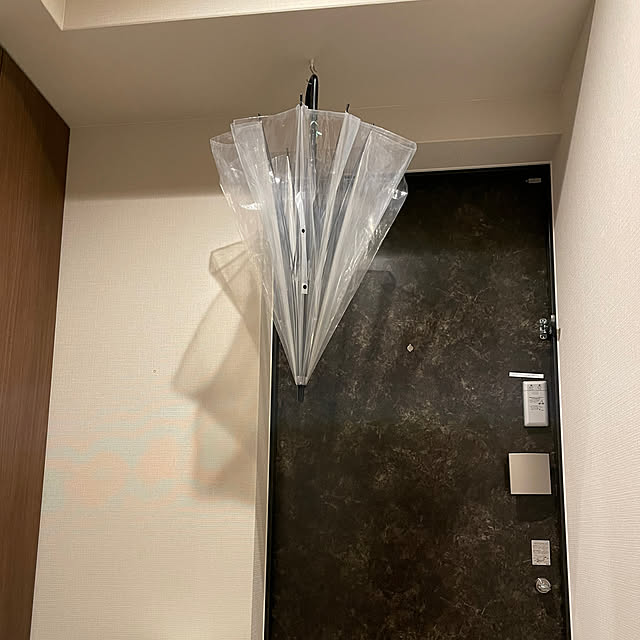 40代おひとり様の暮らし,一人暮らし,Entrance,1LDK 1人暮らし,100均 kakoの部屋