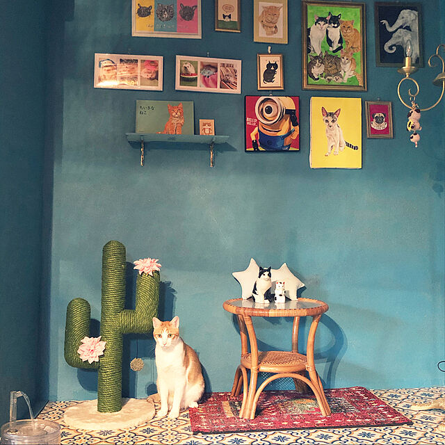 レトロ,リノベーション,古民家暮らし,猫と暮らす,猫のための家,カラフル,モロッコ風,アートスペース,猫スペース,On Walls Oreoの部屋