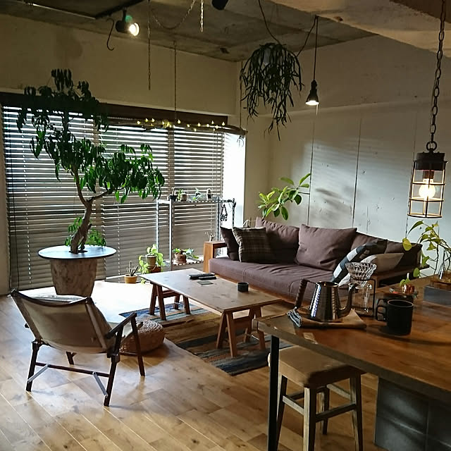 Lounge,アウトドアインテリア,リノベーション,KERMIT CHAIR,interior green,NITORI renarionの部屋