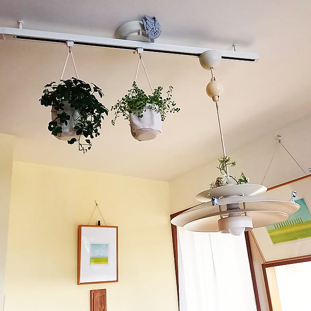 On Walls,フック,スター・ウォーズ,雑貨,照明,無印良品,観葉植物 Hyggeの部屋