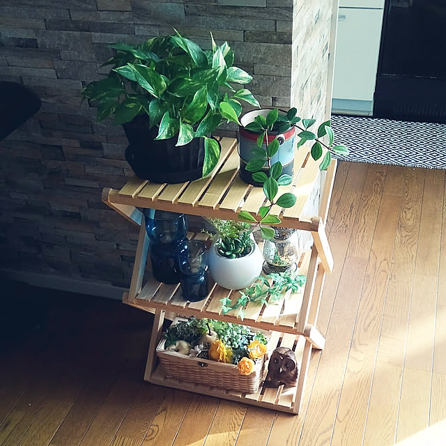 Lounge,観葉植物,RC の出会いに感謝!,いつも見てくれてありがとうございます♡,ペペロミア,コーナン,フェイクグリーン,ポトス,蓋つきバスケット,木彫りふくろう,球根ポット,グリーンのある暮らし,200いいね！ありがとうございます,折り畳み式木製ラック Renの部屋