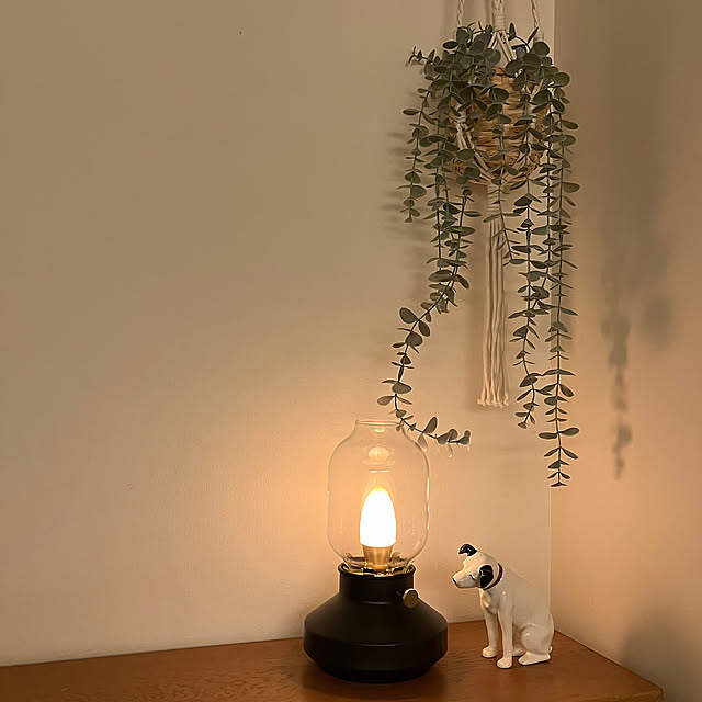 My Shelf,IKEA,フェイクグリーン fukuの部屋