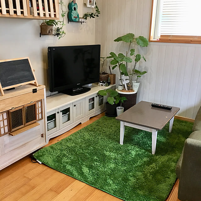 Lounge,観葉植物,犬小屋DIY,住宅密集地,RC東京支部,中古住宅,ウンベラータ,植物のある暮らし,植物,板壁風壁紙,ニトリ,いぬと暮らす makoriの部屋