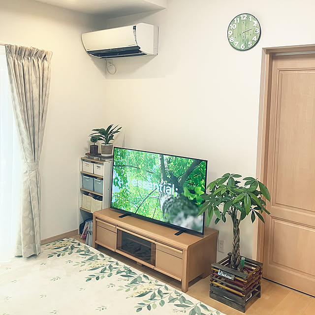 Lounge,アグラオネマ・マリア,アグラオネマ,編み込みパキラ,パキラ,グリーンのある暮らし,グリーン,観葉植物のある暮らし,観葉植物,ハンドメイド,DIY keep_patienceの部屋