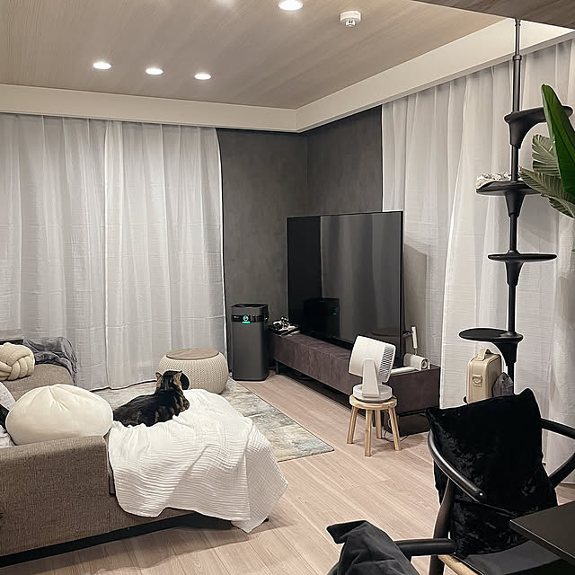 Lounge,Nナチュレシャイン,レースカーテン,カーテン,ニトリ,モノトーン,積水ハウスの賃貸,シンプルインテリア,モノトーンインテリア,すっきり暮らしたい,オシャレな家に憧れる,積水ハウスのシャーメゾン,猫,にゃんず,ねこが好き,猫のいる生活,猫のいる暮らし,兄弟猫,多頭飼育 maimaiの部屋