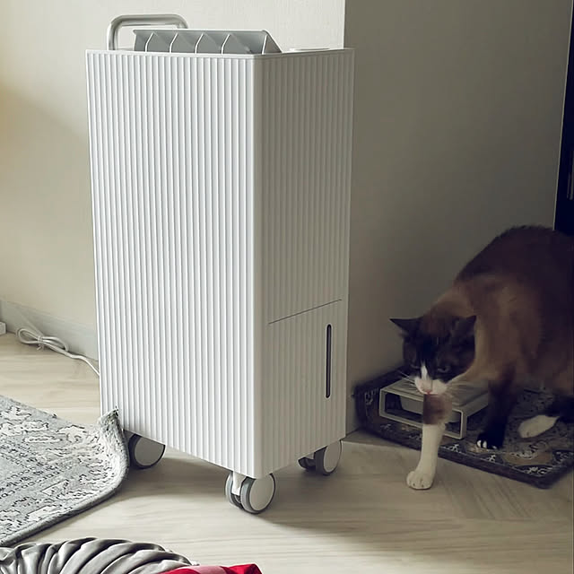 cado除湿機,cado,北欧,ねこと暮らす,Lounge muuの部屋