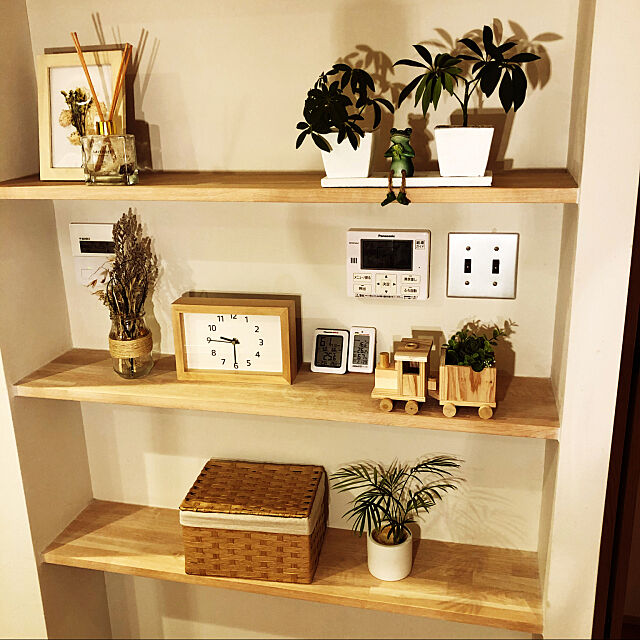 温湿度計,観葉植物,ニッチ,漆喰,My Shelf momotaroの部屋