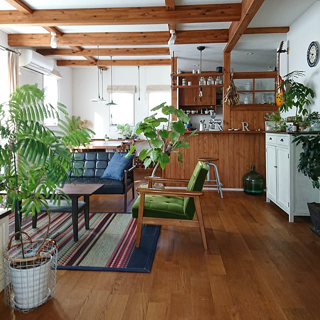 Overview,観葉植物,アンティーク,カフェ風,ドライフラワー,無垢材の床,い草ラグ,塊根植物,漆喰壁DIY,着生植物,メンズナチュラル,アズコンストラクション,珈琲のあるあたたかい暮らし,イケヒコ,ボタニカルカフェスタイル,COFFEE LOVER,ビターナチュラル,ギターナチュラル bibi.karuの部屋