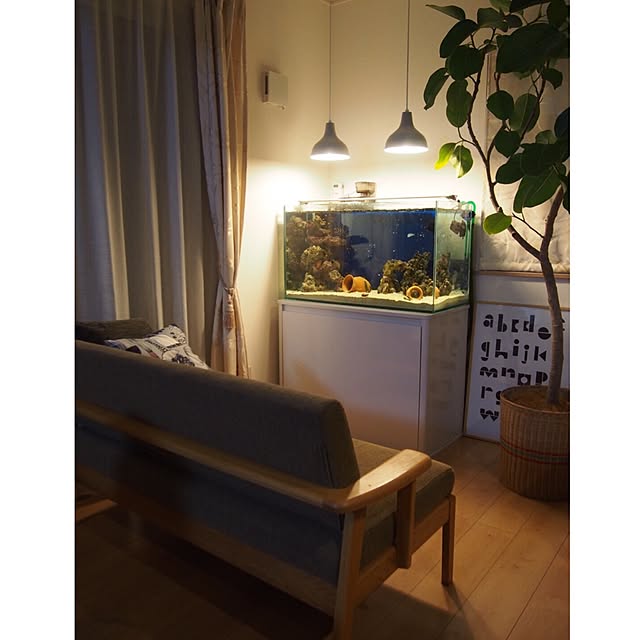 Lounge,アクアリウム,unico,水槽,観葉植物,アルテシマ,ペット,海水魚,無印良品,snug.studio emimekkoの部屋