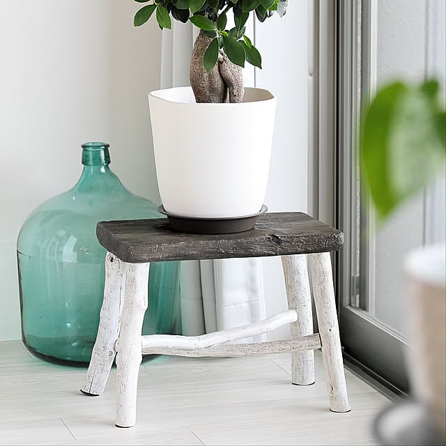 窓辺,デミジョンボトル,ガジュマル,流木インテリア,流木,minneで販売しています,ナチュラルインテリア,スツールDIY,スツール,Lounge,ハンドメイド,シャビーホワイト,シャビーシック,グリーン,グレーカーテン sakanasuki0の部屋