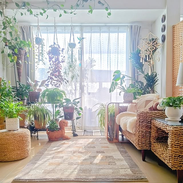 Lounge,窓辺のインテリア,一人暮らし,マンション,観葉植物,URBAN GREEN LIFE,2026.2.1,窓辺のグリーン,ギャッベ,マクラメプラントハンガー手作り,アフリカンバスケット,ヒンメリモビール手作り YuriYuriの部屋