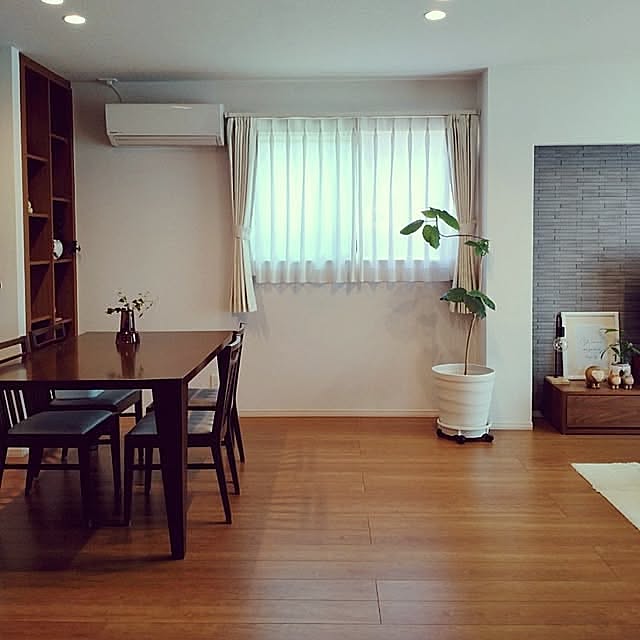 On Walls,マイルール,ルーティン,ルーティン掃除,ルーティン家事,観葉植物,心地よい暮らし,楽しく暮らす,すっきり暮らす,心を豊かに,掃除,掃除しやすく,清潔感,楽に掃除,楽に家事する tan5の部屋