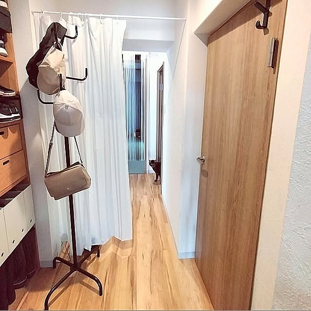 Entrance,アイアン素材,無印良品,100均アイテム,セリア,ダイソー,猫と暮らす,ハチワレ♀ すず,キジトラ♂ むっく,ひょっこりにゃん,複数枚投稿,築古マンション,低予算リノベーション,イベント用に再投稿,ハンガーラック,コートハンガー,ポールハンガー,紐のれん,ドアフック,目隠しカーテン,シャワーカーテン,玄関収納,下駄箱,ファイルボックス収納,ユニットシェルフ 無印良品,Pansonic建具,VERITIS,引っ掛け収納,狭い玄関,省スペース hihaの部屋
