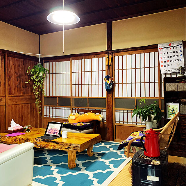 昭和レトロ,古い家,茶の間,バンビちゃん,昭和の家,築60年以上,昭和のお家,ぬいぐるみ,観葉植物,Lounge cameの部屋