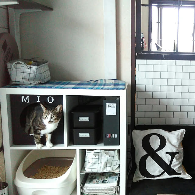 My Shelf,イケア75,IKEA,ねこと暮らす。,キャットスペース,KALLAX,猫トイレ,モノトーン,ニトリ,ダイソー,ニトリのクッションカバー,サブウェイタイル風壁紙,間仕切りDIY yuuの部屋