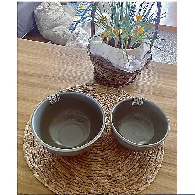 My Desk,クロッカス,軽量食器美濃焼,新しい食器,新生活,おうちカフェ,RCの出会いに感謝♡,見てくれてありがとう♡,スタンダードプロダクツ,スタプロ商品,コストコアームクッション,蔓籠,ダイソーがまランチョンマット,スタプロどんぶり CoCo0617の部屋