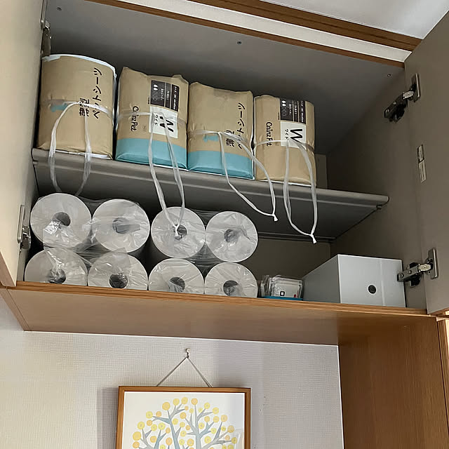 Entrance,高い場所の収納,愛犬のおしっこシート,トイレットペーパーの収納,シューズクローク koroの部屋