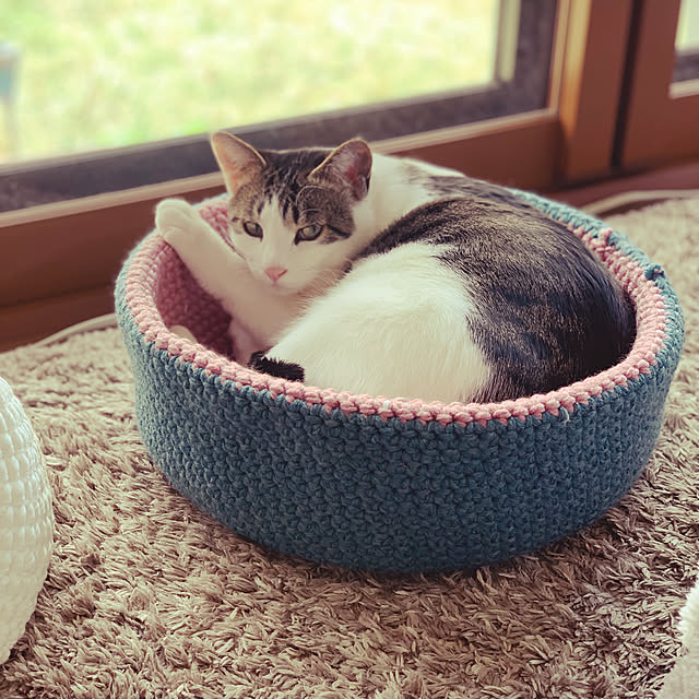 猫と暮らす家,ハンドメイド,100均 koharuの部屋