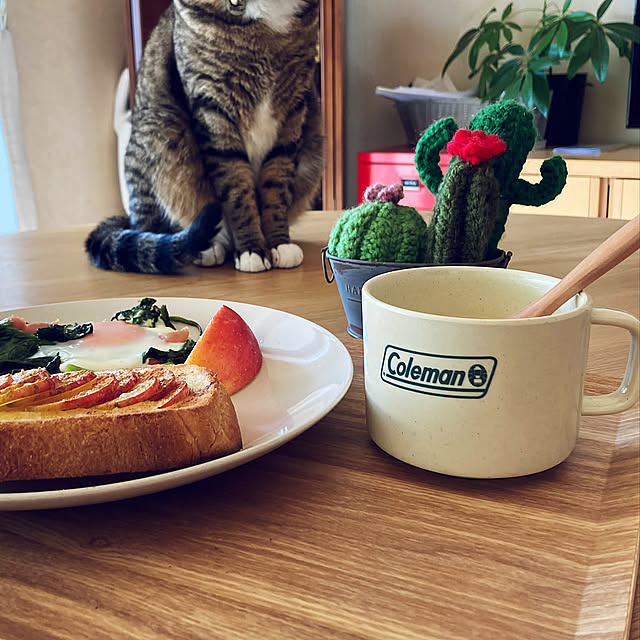 Kitchen,スタッキングカップ,コールマン,アウトドアグッズ,猫,癒し,ねこのいる日常,猫と暮らす,ねこが好き,猫と暮らす家,ねこと暮らす,朝食 suemonta14の部屋