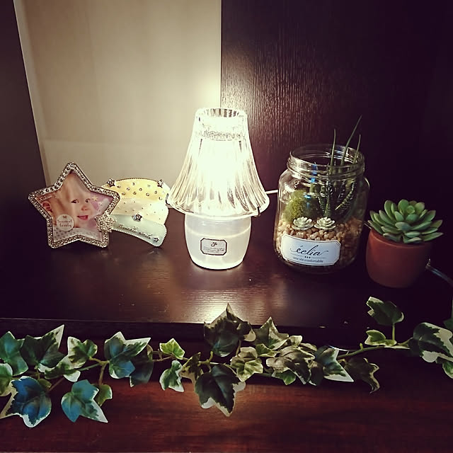 Bathroom,間接照明,アロマランプ,多肉植物,アロマライト,ガラスランプ,CT触媒,グリーンのある暮らし,Ampoule,アーティフィシャルグリーン daisyの部屋