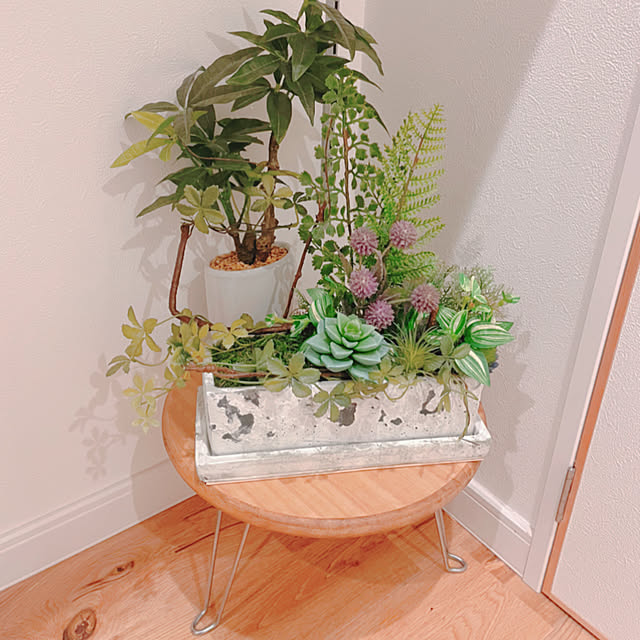 プチDIY,フェイクグリーン,玄関ディスプレイ,再利用,シンプルな暮らし,ちいさなお家,狭い部屋を楽しむ,シンプル空間,Entrance obuta47300の部屋