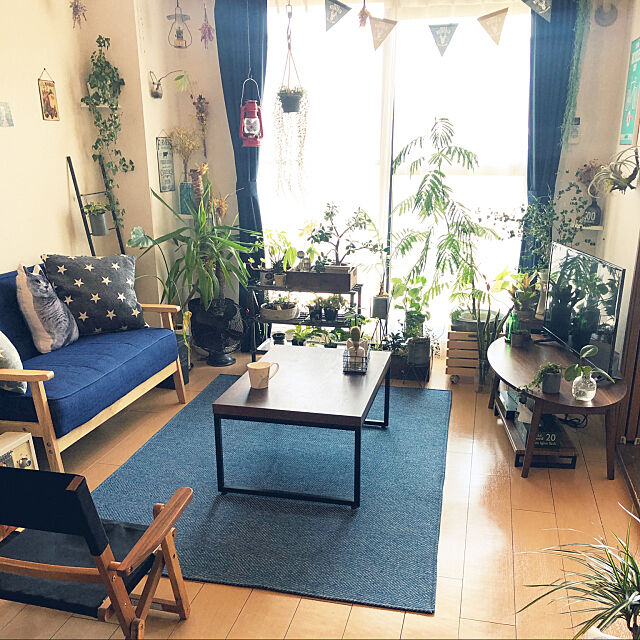 ニトリ,カフェ風,観葉植物,一人暮らし,Overview,男前,多肉植物 kosukeの部屋