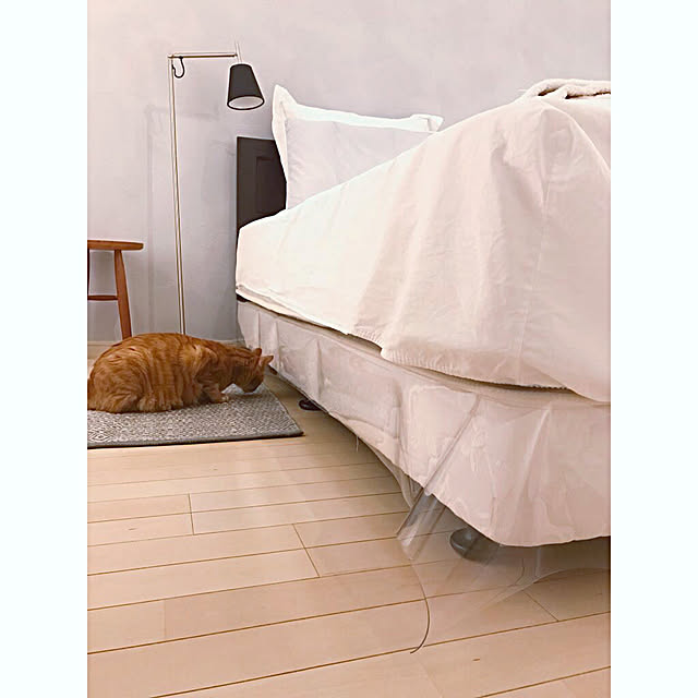 Bedroom,グレーが好き,sarasa design store,陶仙房,大塚家具,IKEA 照明,猫のいる暮らし,漆喰壁,カルクウォール,爪とぎ対策 derazouの部屋