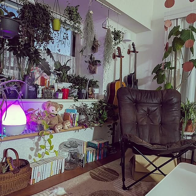 Lounge,観葉植物,ニトリ,バタフライチェア,多肉植物 bokumaru11の部屋