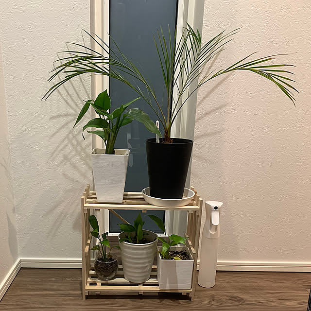 Lounge,観葉植物,すのこ,10分でできる,百均すのこ,リメイクシェルフ,応急処置,いいね！ありがとうございます◡̈♥︎ K.の部屋