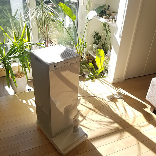My Desk shimaaadsの部屋