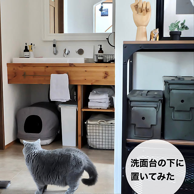 実感消臭トイレ,エステーペット,暮らし快適化特集,猫と暮らす家,ねこのいる日常,猫トイレ chibinoriの部屋