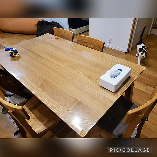 My Desk,ダイニング,タモ材ダイニングテーブル,ネコのいる風景,しゃりくんですにゃ,透明テーブルクロス,見ていただき感謝です。,子どもと暮らす,150cmダイニングテーブル,ナチュラルカラーインテリア,オーク材フローリング,いいねありがとうございます。,レッドラブの会,レッドラブの会❤️,赤いフレームのメガネ tomatopapaの部屋